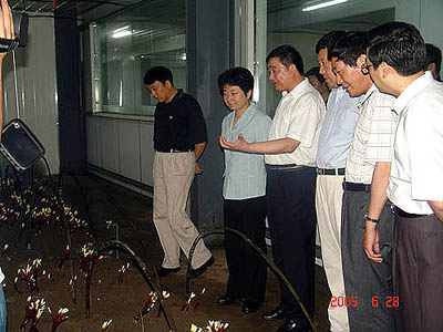乐天堂官网