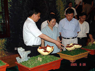 乐天堂官网