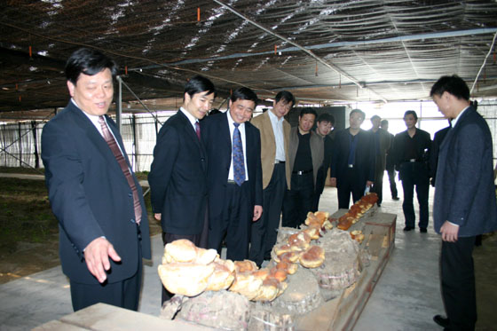 乐天堂官网