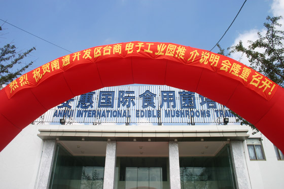 乐天堂官网