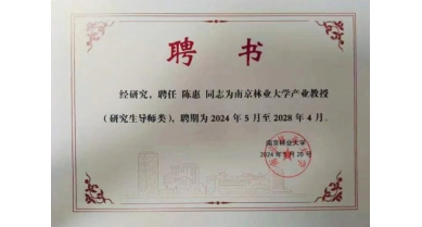 专题报道
